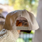 Sorry About My Husband Two-Tone Embroidered Snapback Hat